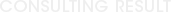 CONSULTING RESULT