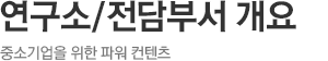 연구소/전담부서 개요