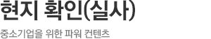 현지 확인(실사)